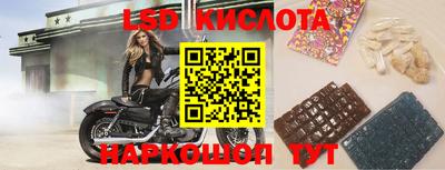 стаф Лесосибирск