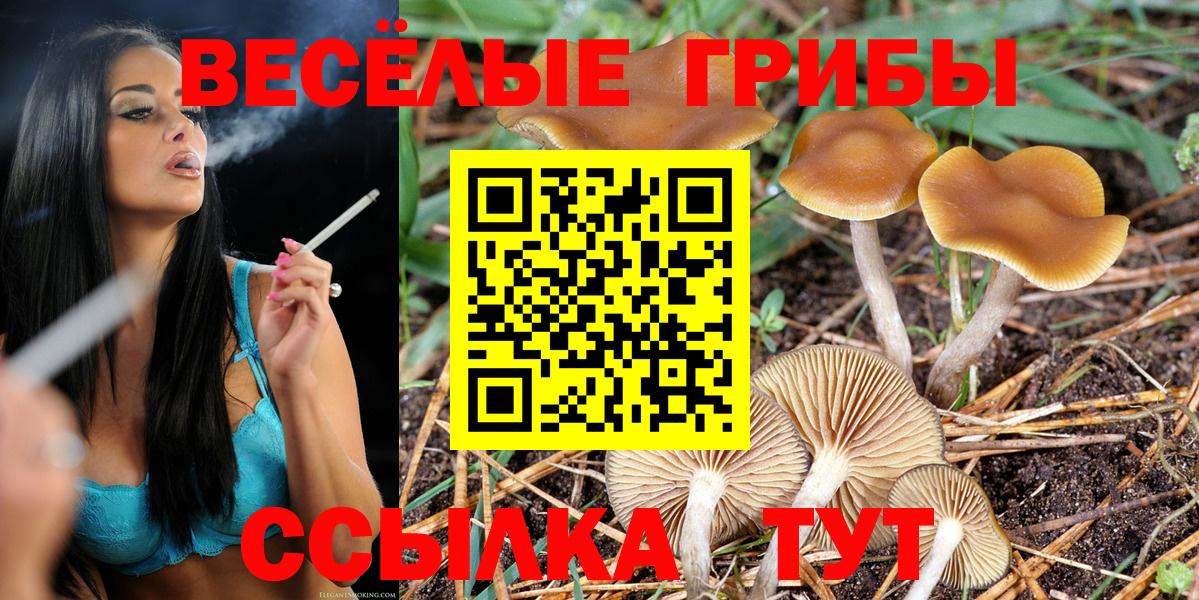 Псилоцибиновые грибы GOLDEN TEACHER  Галлюциногенные грибы мухоморы  Гай  Вход с VPN 